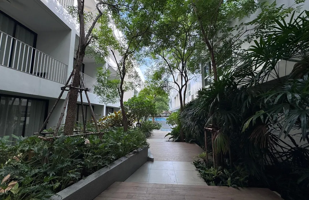 Chern Bangkok-1