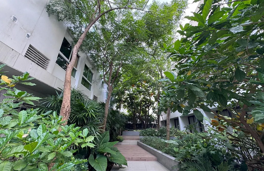 Chern Bangkok-1